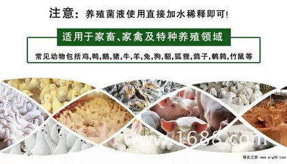 農富康EM菌液的價格分析與工藝品應用