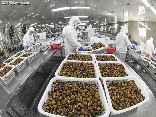廣東省農產品加工公司優秀企業推薦