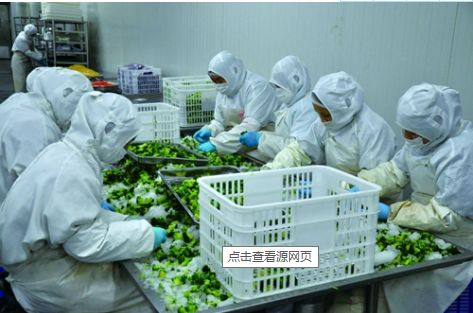 農產品加工 提升農業價值的關鍵環節