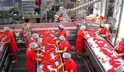 農產品批發從“糙售”邁向“精賣” 加工升級促增收，政策補貼惠農民