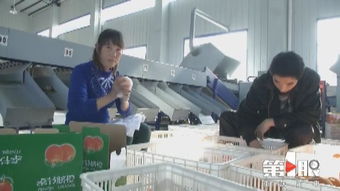 重慶農產品加工業定了個“小目標” 3年增加1000億元產值
