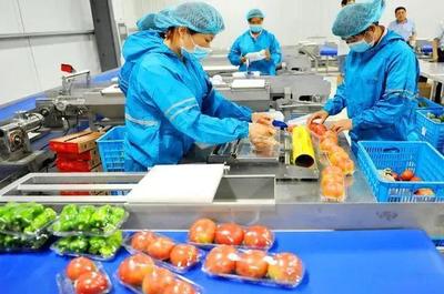 萬億級賽道 中國農產品加工業變革在即