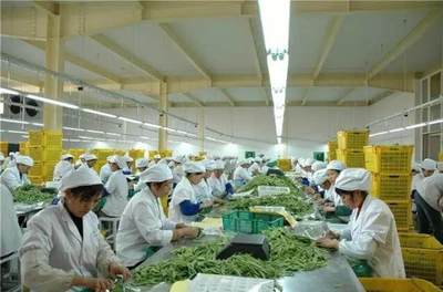 農產品加工 3大政策扶持，6大項目隱藏千萬商機