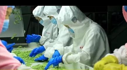 鄉村振興新機遇 推薦幾個高潛力的農產品加工辦廠項目