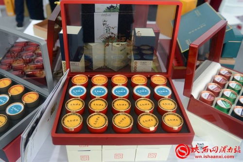 渭水之畔繪新篇 第七屆黃河金三角投資合作交流大會暨渭南農產品加工產業博覽會開幕