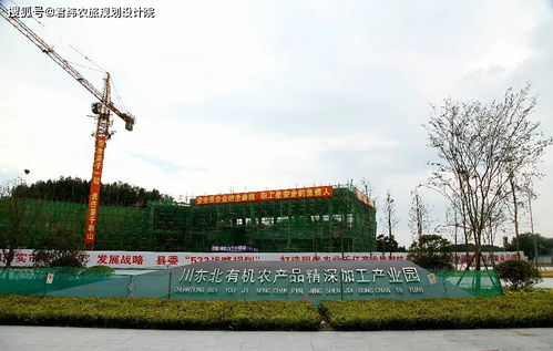 地攤搶布局，農產品加工業駛入發展快車道