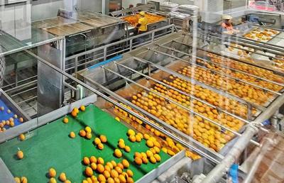 重慶 金融業多措并舉 助力食品及農產品加工產業高質量發展