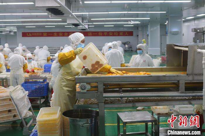 廣西百色特色農產品銷全國鏈東盟 老區民眾“錢途”寬