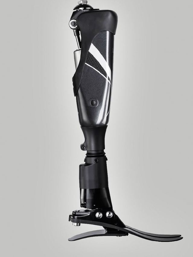 當(dāng)寄居蟹穿上“定制新家” 3D打印假肢與矯形器如何為特殊動(dòng)物伙伴帶來新生